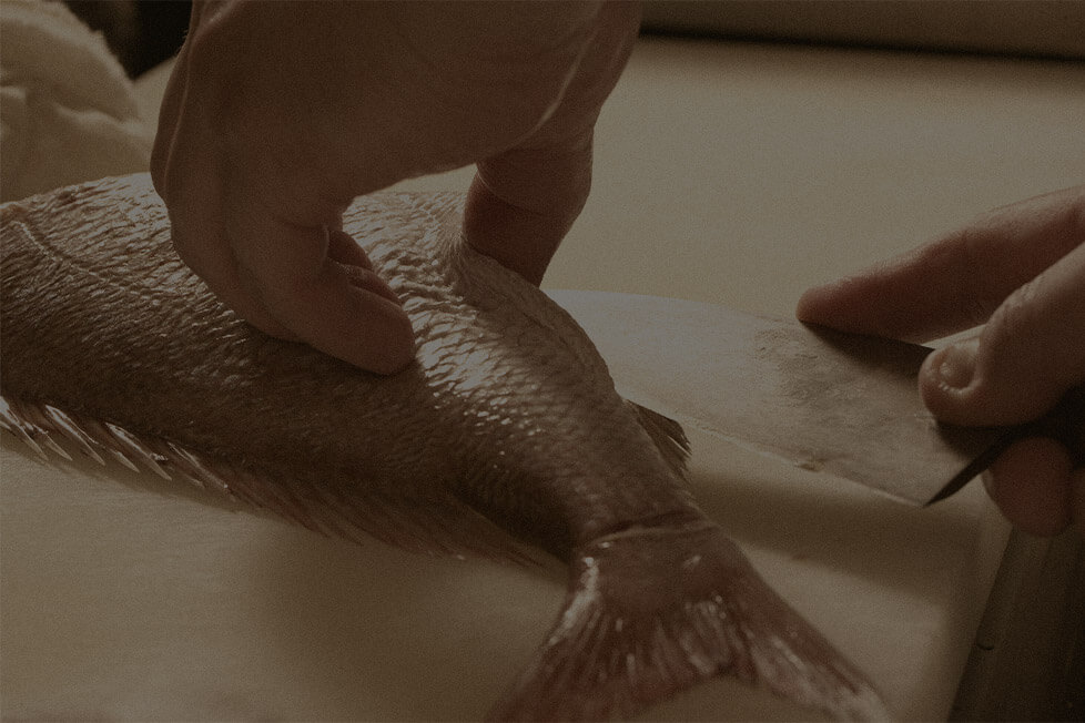魚を切る
